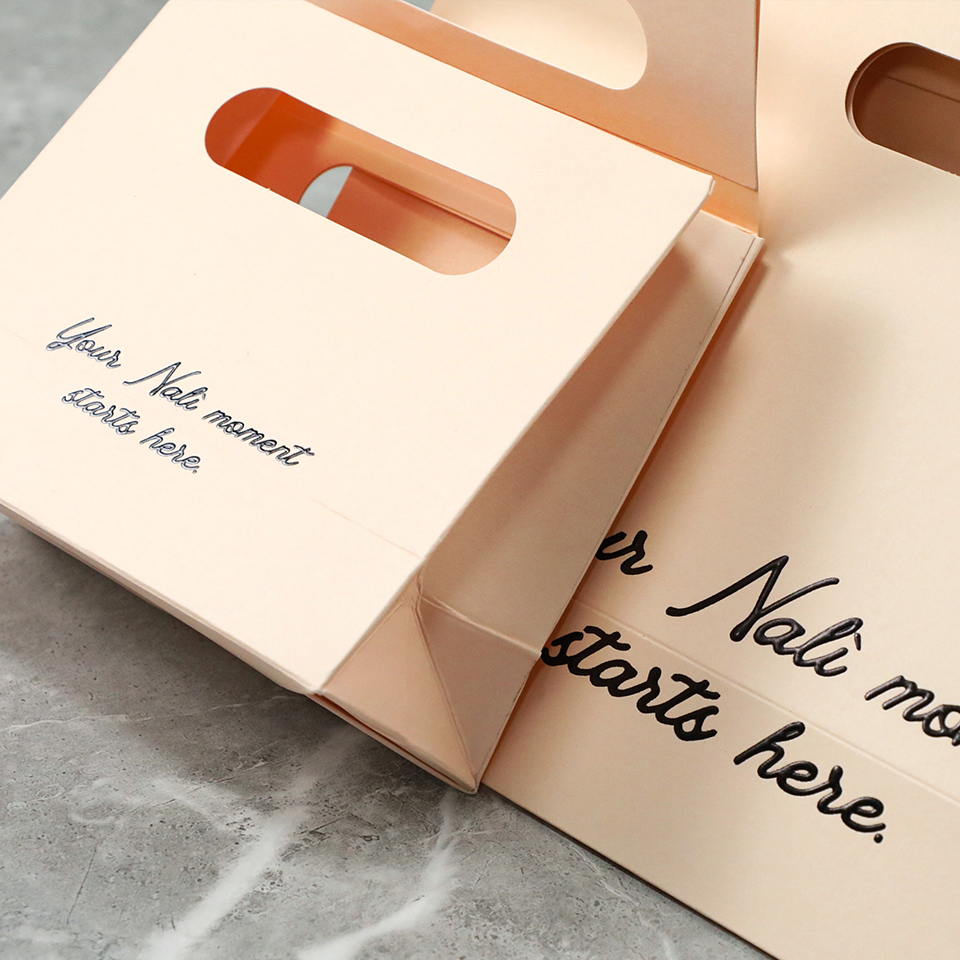 Luxury Flat Handle Paper Bag D - Luxury Bags For School ulasan dan harga